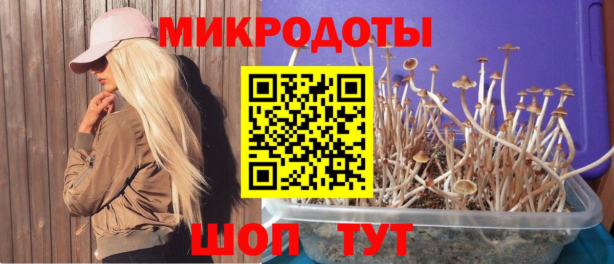 Псилоцибиновые грибы прущие грибы  Вход с VPN  Юрга 