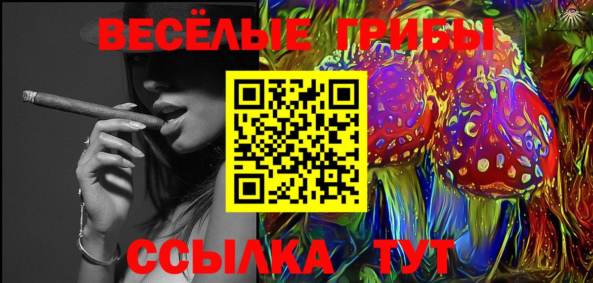 Псилоцибиновые грибы Psilocybine cubensis Юрга